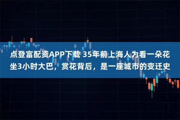 点登富配资APP下载 35年前上海人为看一朵花坐3小时大巴，赏花背后，是一座城市的变迁史